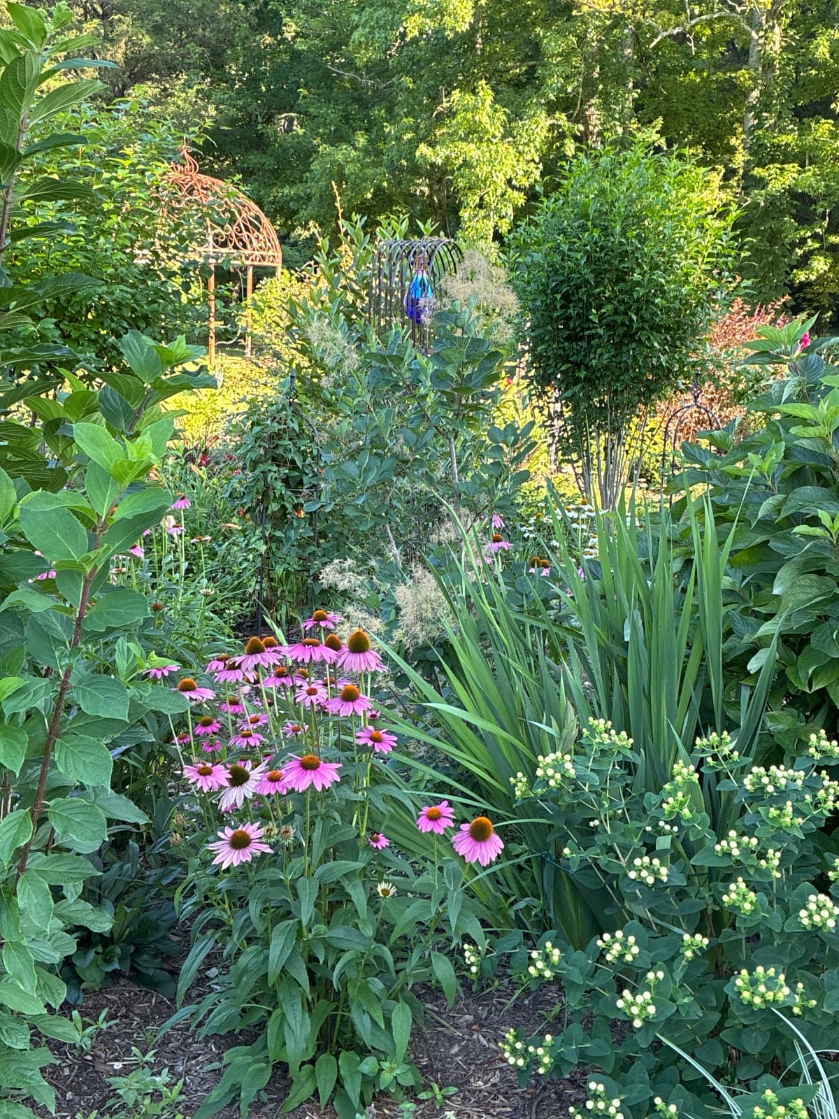 Garden 8 hero