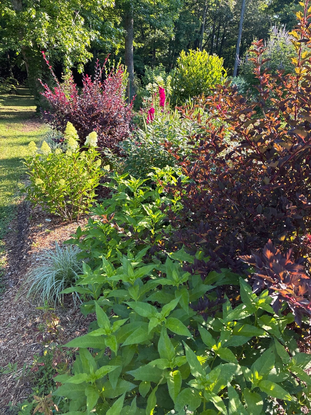garden hero